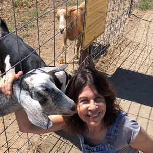 Meet your Posher, Lisa